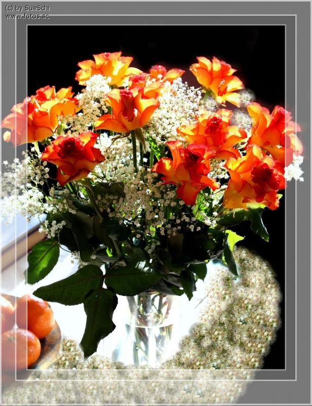 Danke  Blumen  Rosen  Blumenstrauss  Ros