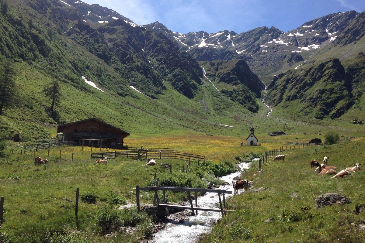 goelbnerblick-huette-ueber-den-neuen-was