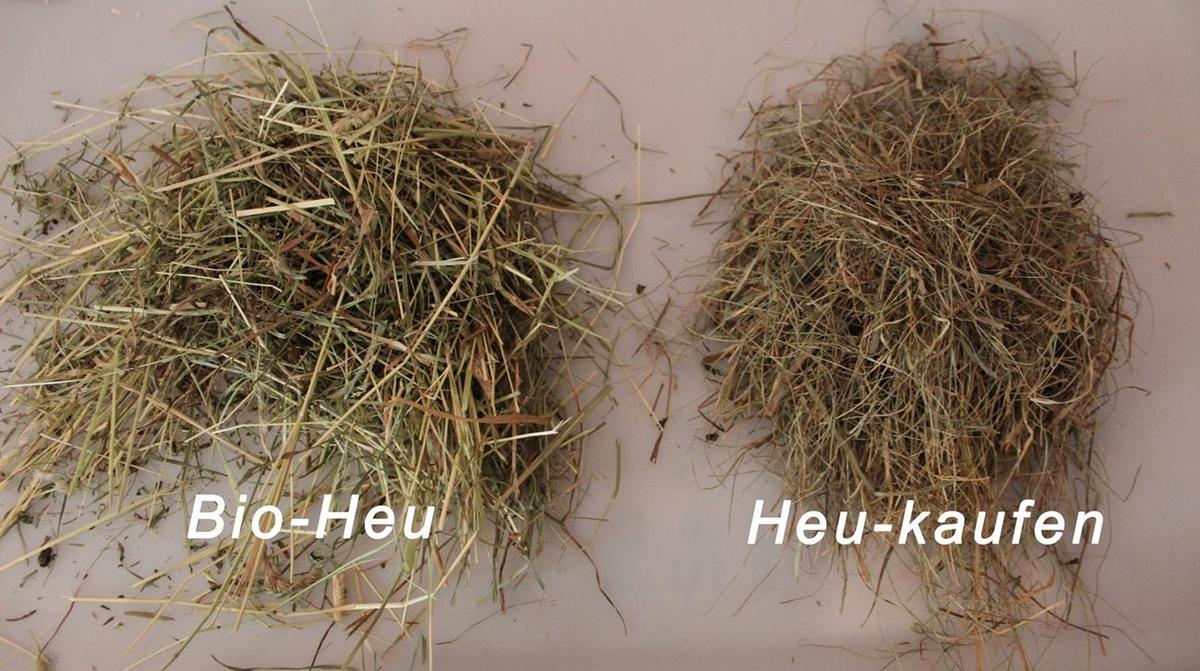 Heu-Vergleich