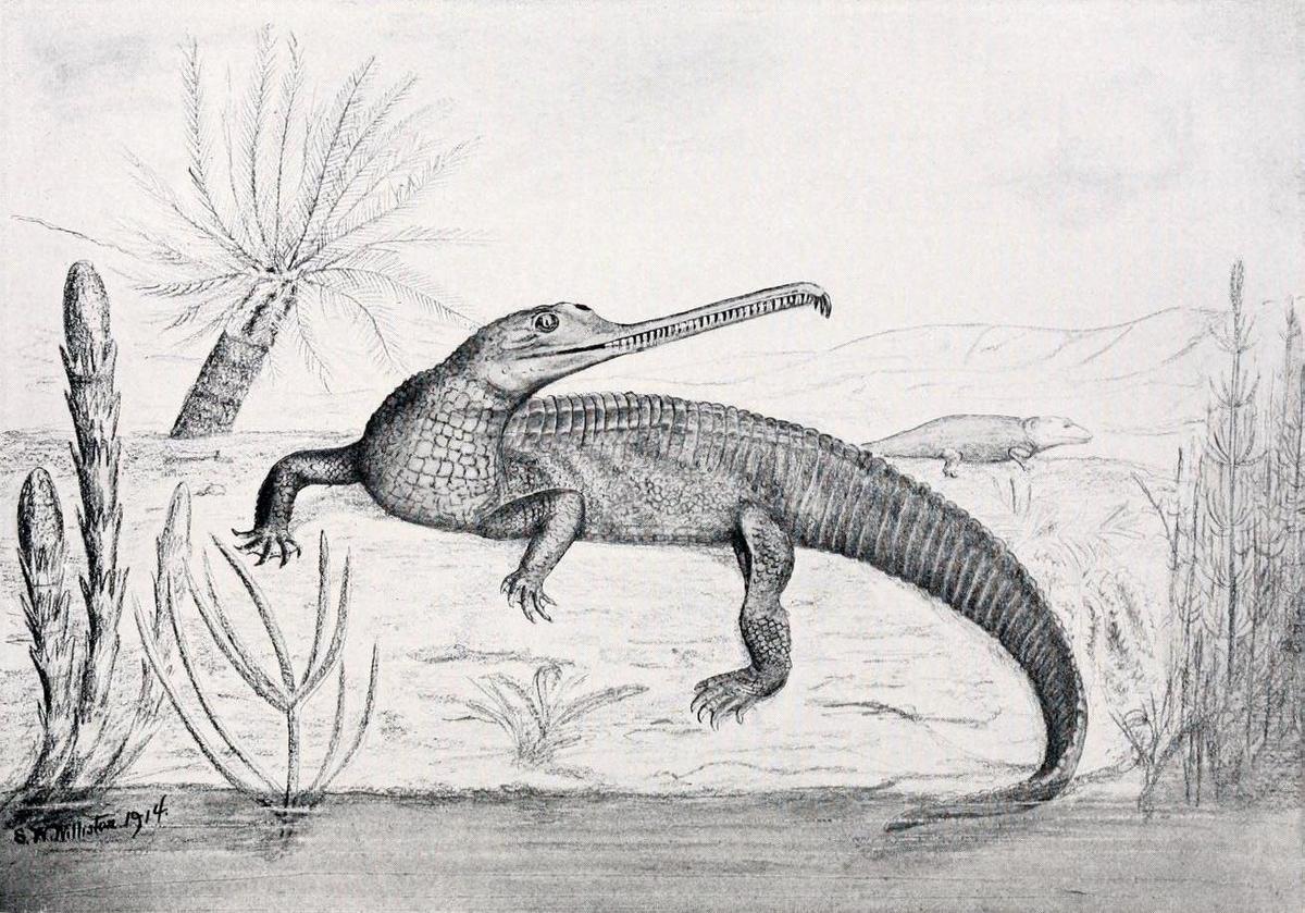 Mystriosuchus