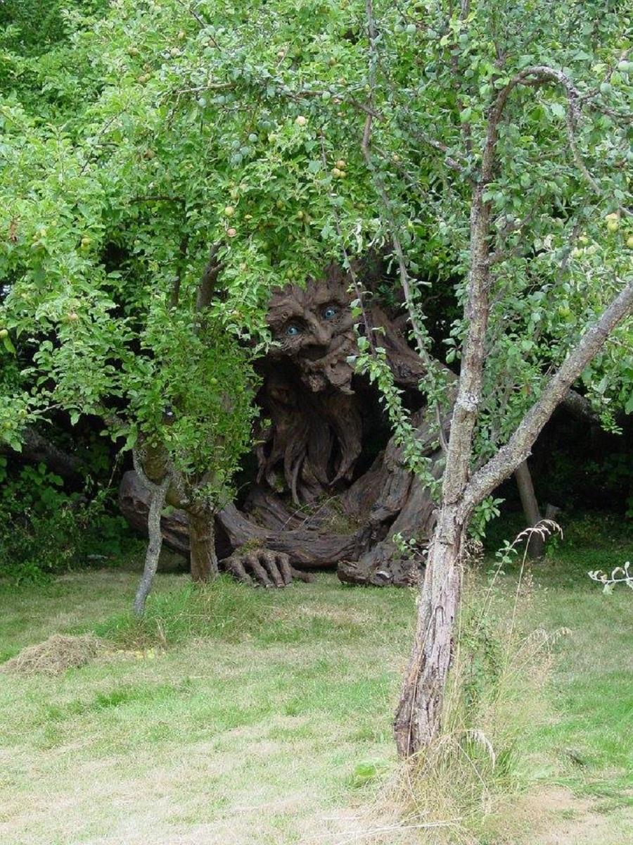 tree-troll-outside