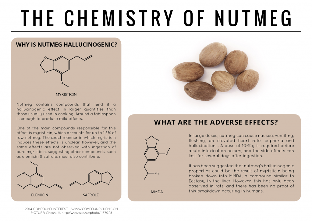 The-Chemistry-of-Nutmeg-v3-1024x724