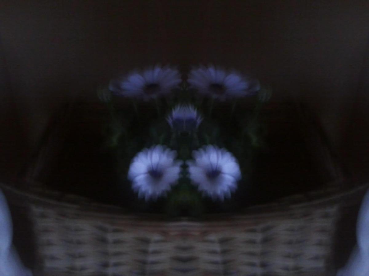 071453 Foto0052W