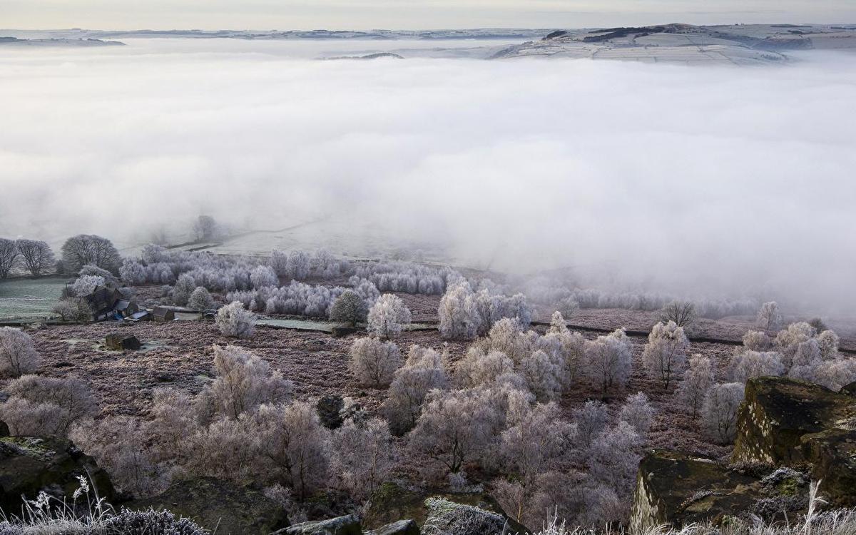 Scenery Fog From above 454892