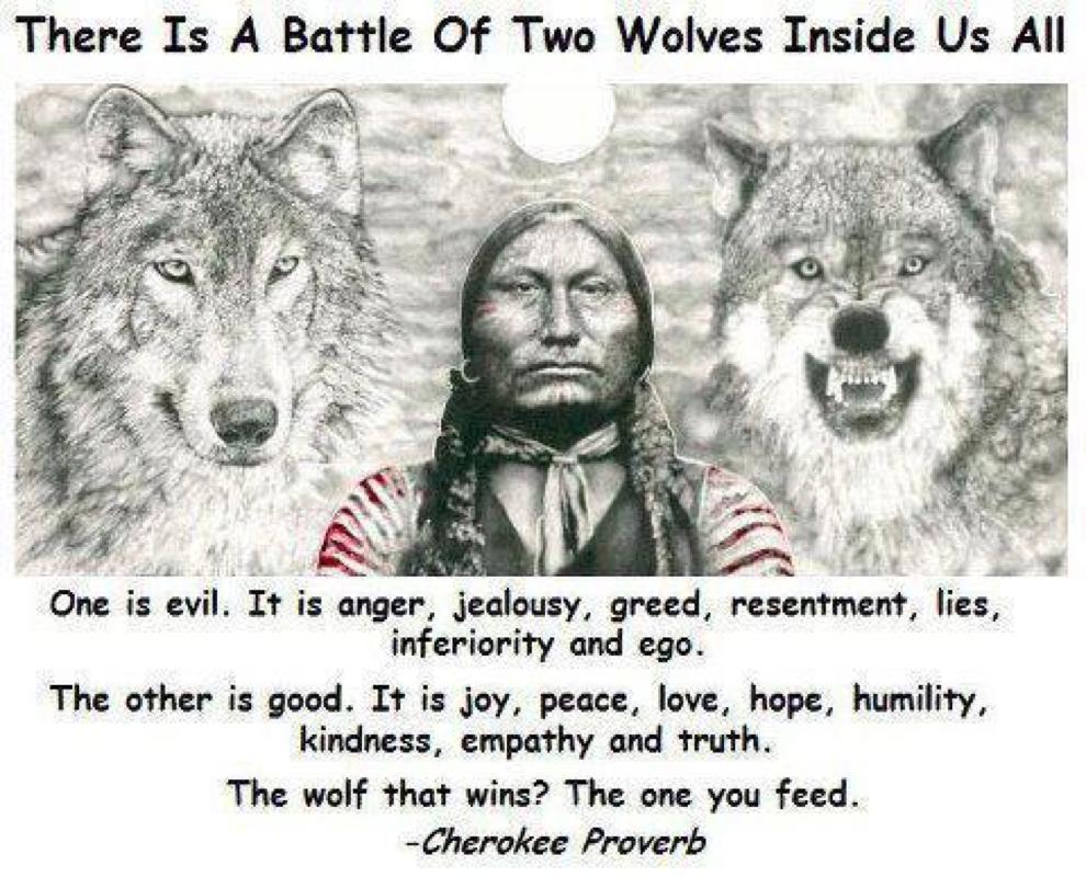 There-is-a-battle-of-two-wolves-inside-u