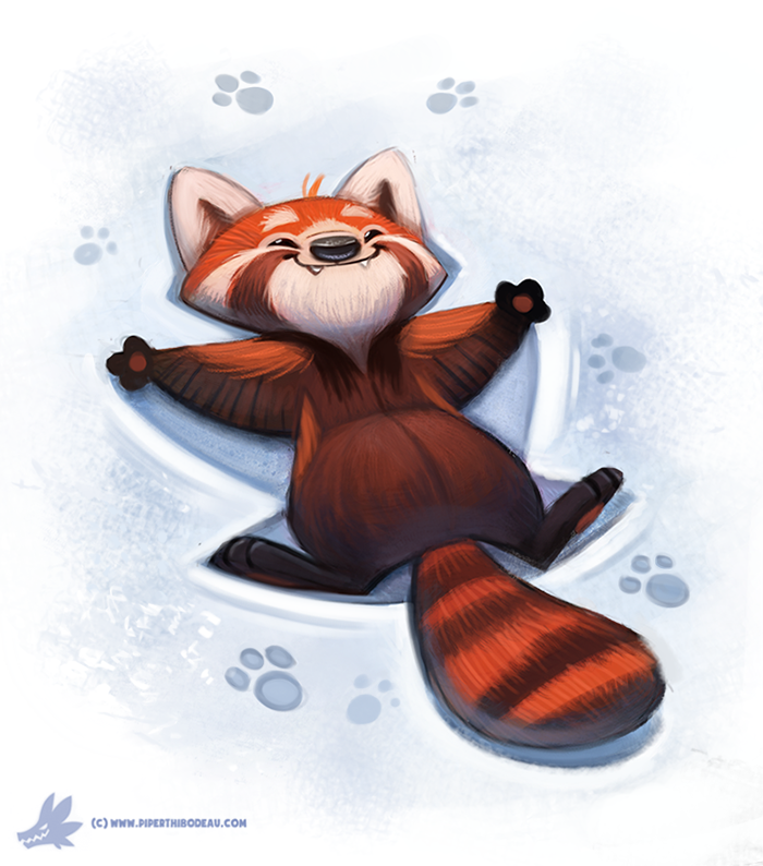 day 823 oh my gosh that red panda video 
