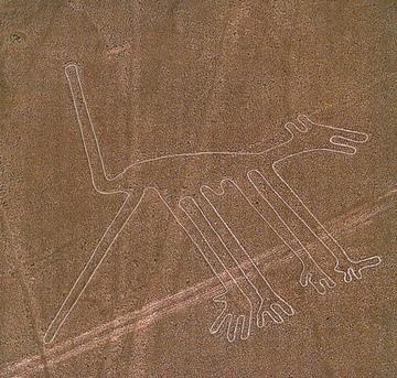 nazca1-klein