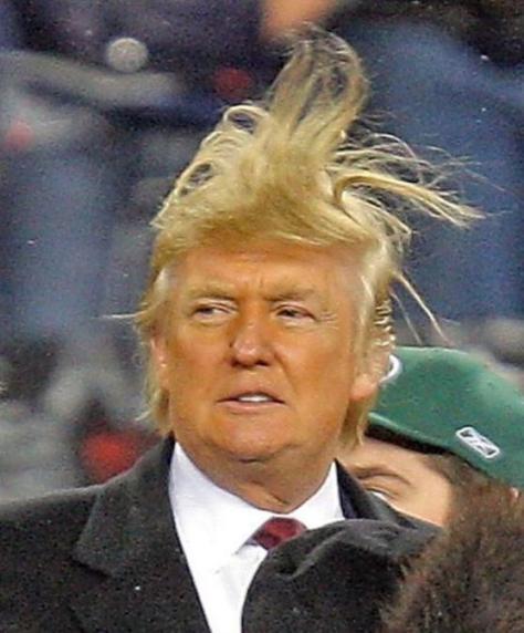 trump-hair.jpgw474