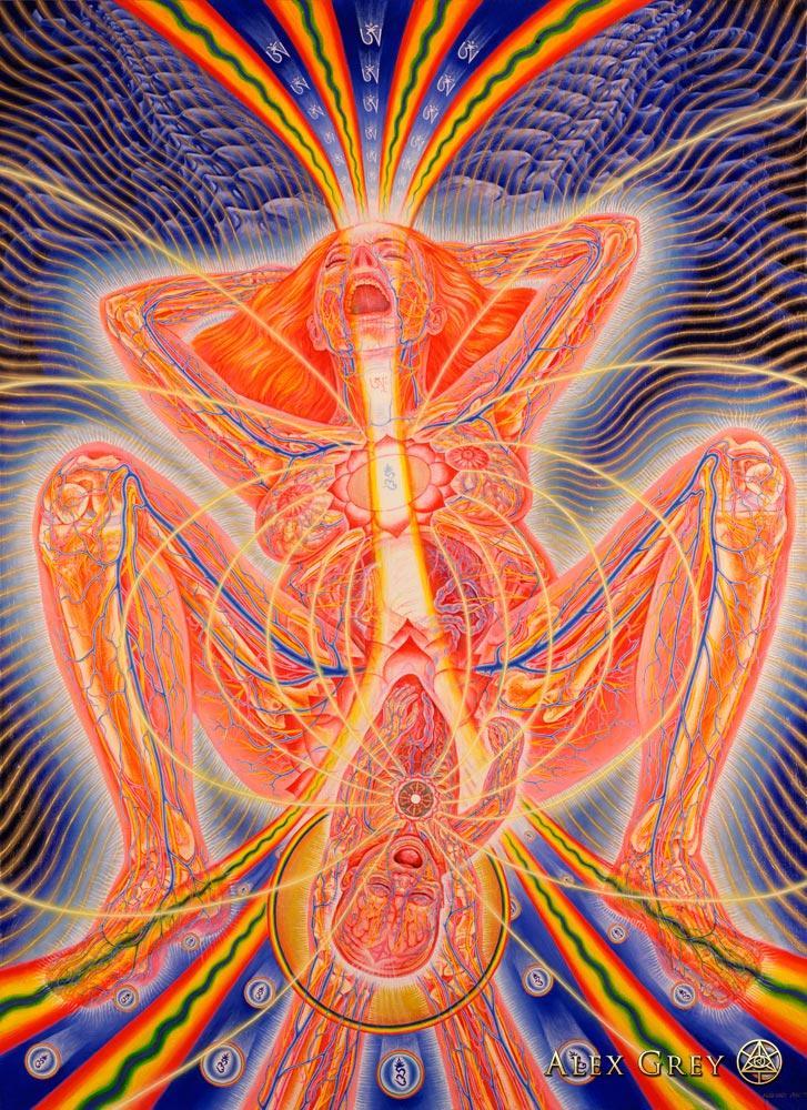 t92bd24 Alex Grey-Birth