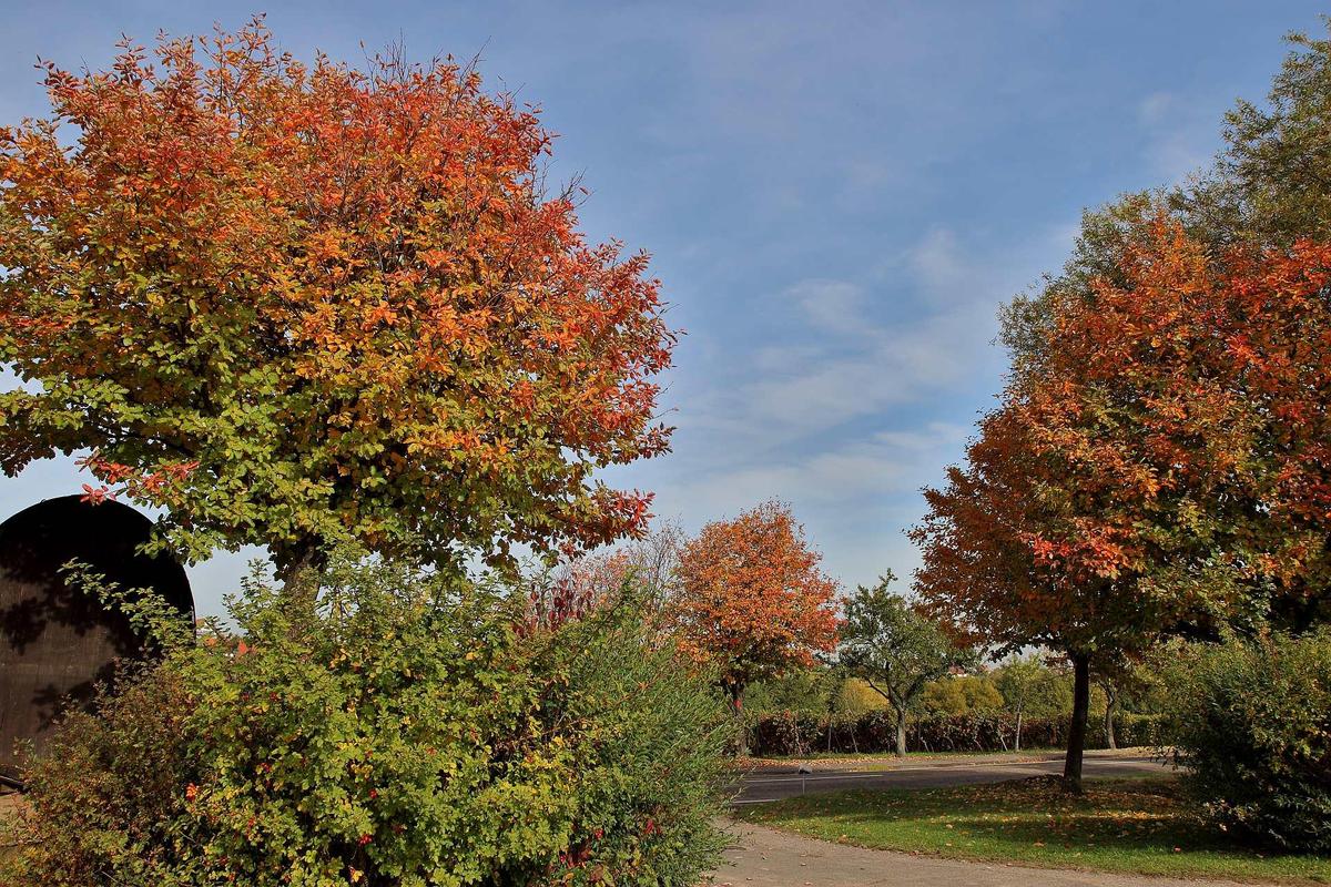 herbstlandsch20102012lukbi