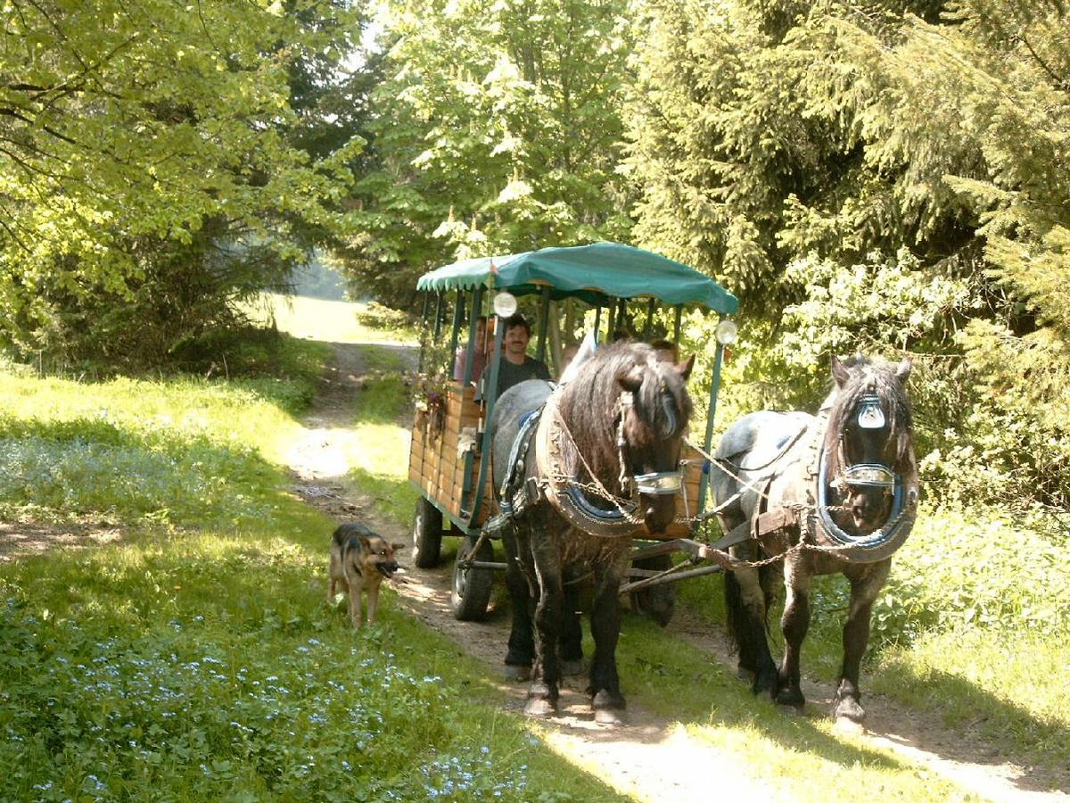 ff295a kutschfahrtd traumhaftschoeneland