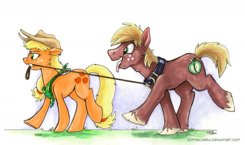 walkies  by sophiecabra-d8fvsdq