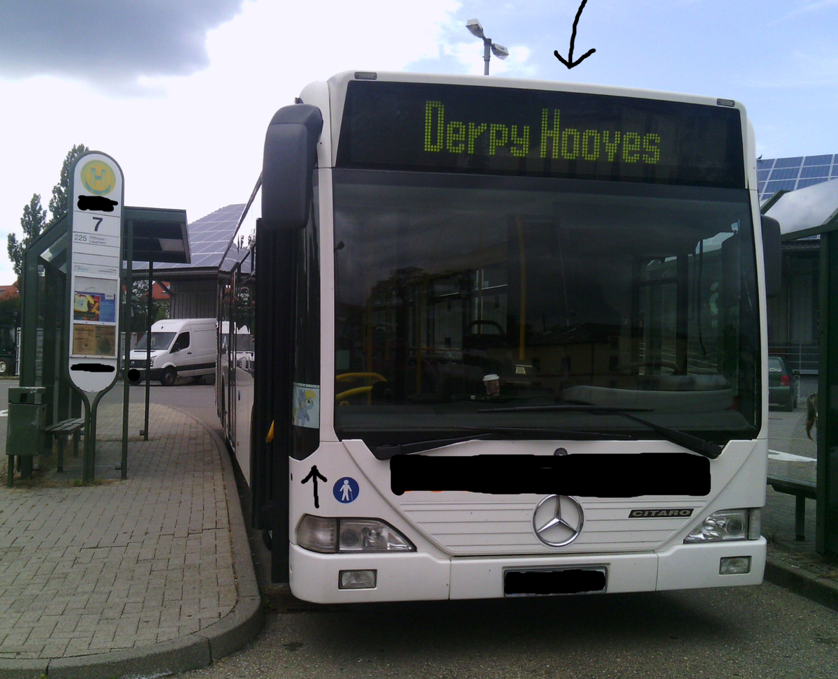 894f9b Derpy Bus