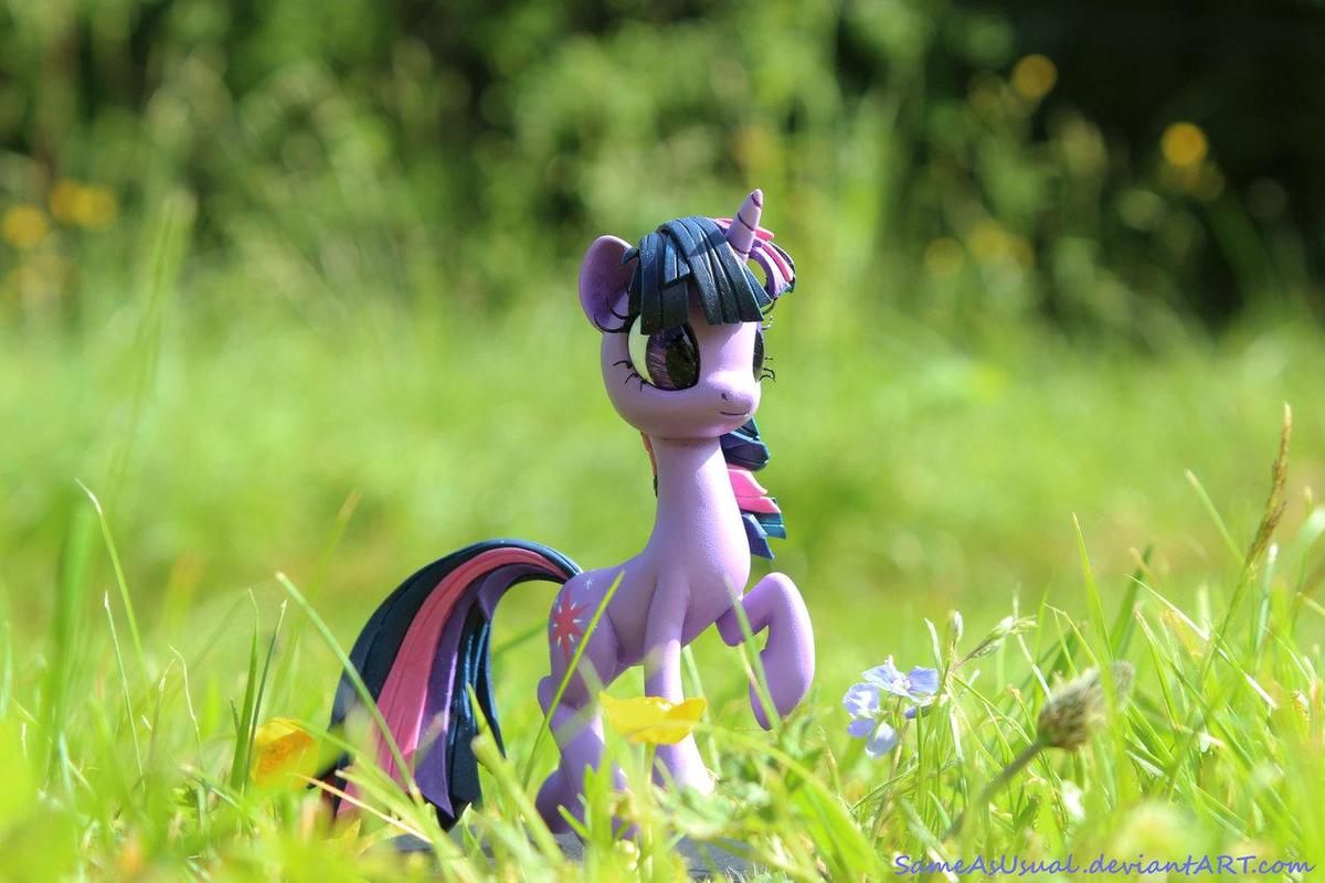 those carefree summer days by sameasusua