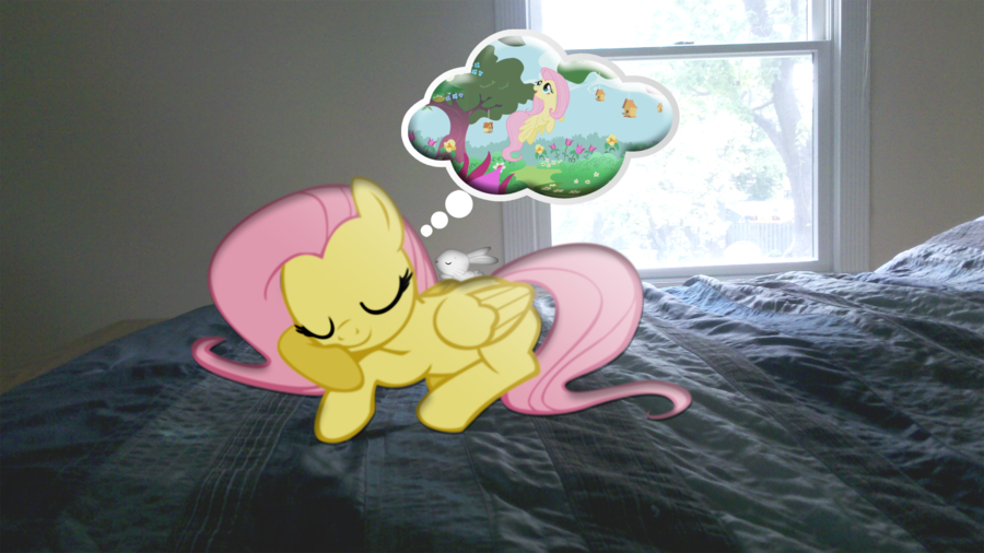 sleeping fluttershy irl wallpaper  read 