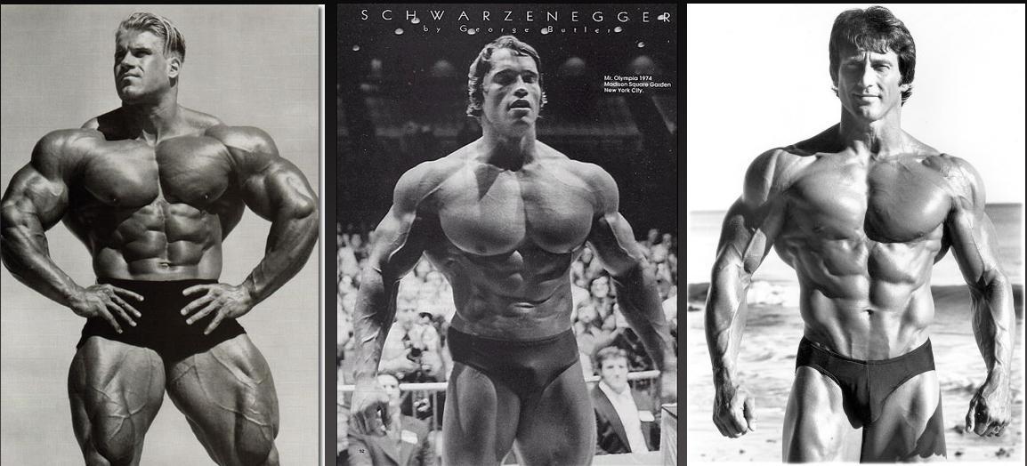 bodybuilder bodytypes