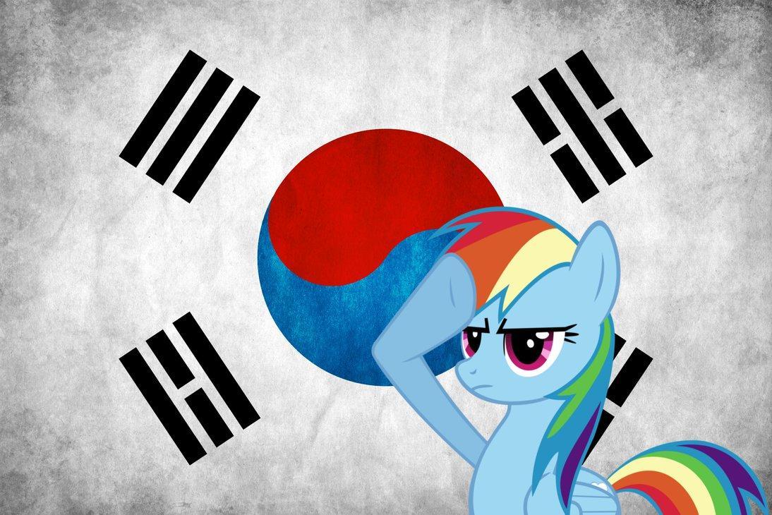 rainbow dash saluting the south korean f