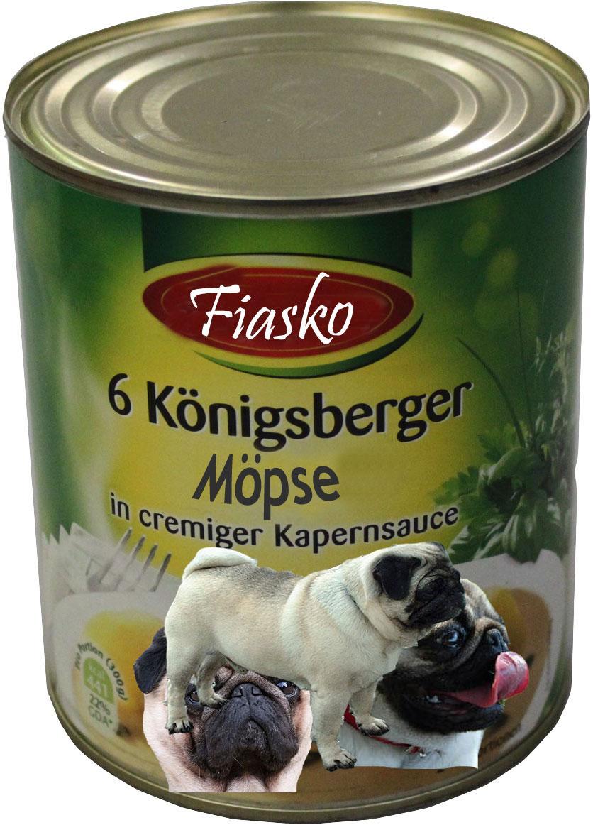 fiasko-koenigsberger-moepse