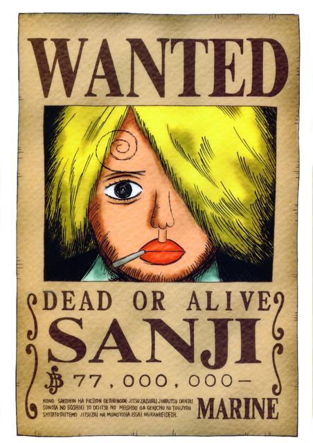 Straw-Hats-Wanted-one-piece-5716727-452-