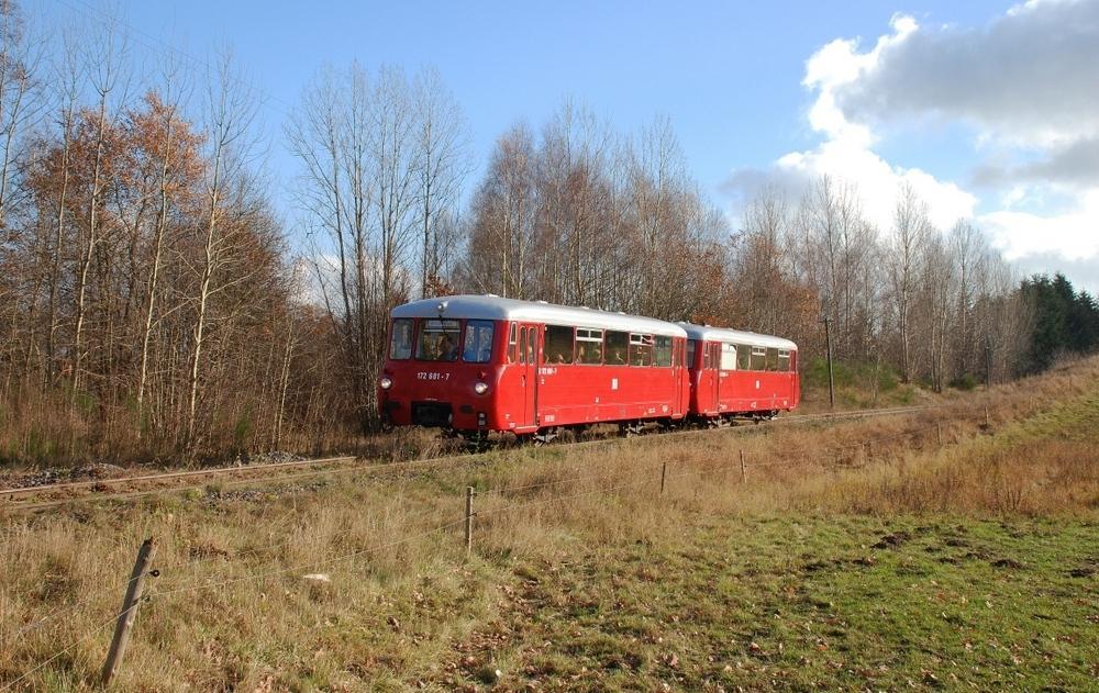 Mit-der-Ferkeltaxe-durch-den-Herbst-a193