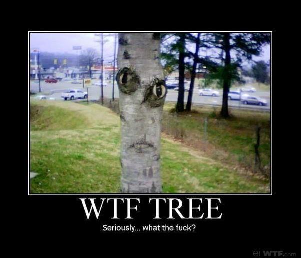 seriously-wtf-tree5