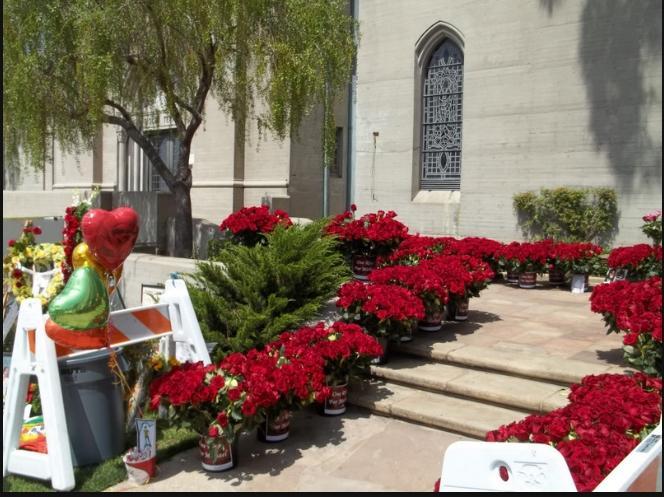forestlawn250620111356