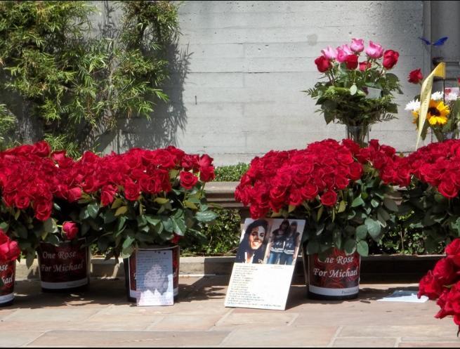 forestlawn250620111355