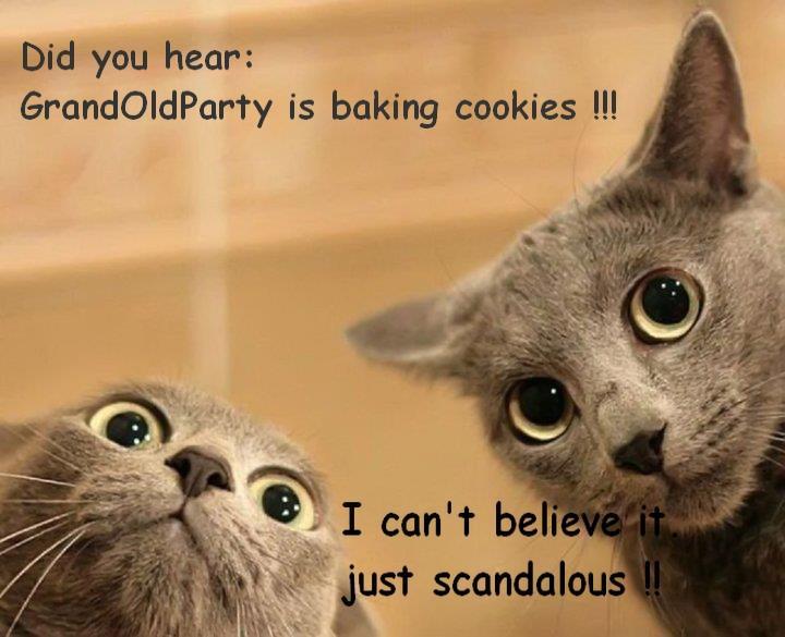 IQfYgr GOP Cookies Cats