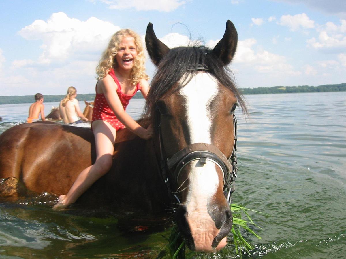 mit verpflegung im wasser