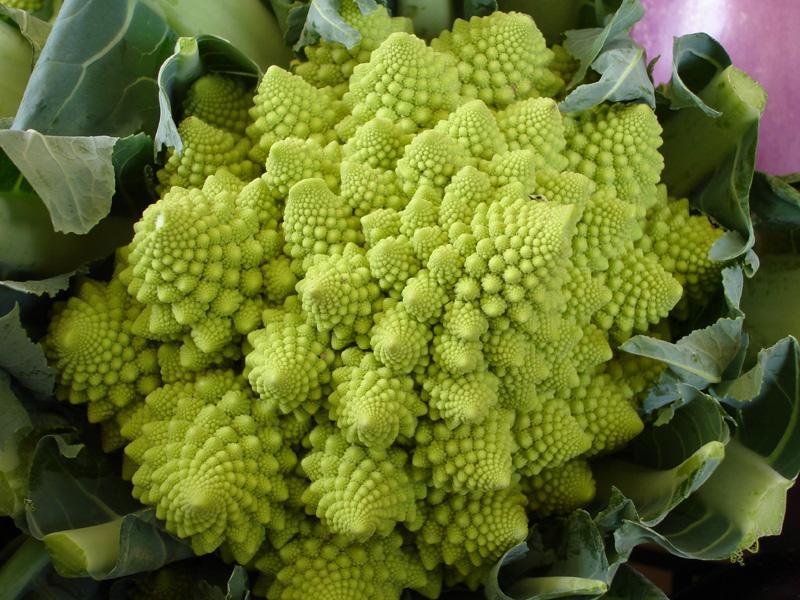 Brassica romanesco