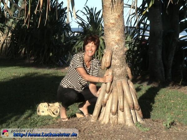 2NHCpO lustiges bild der penis baum