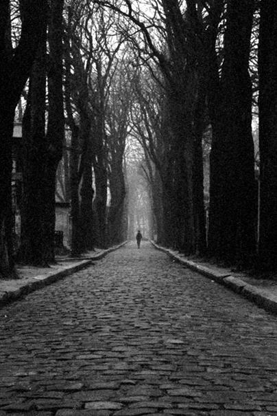 Lachaise avenue fog