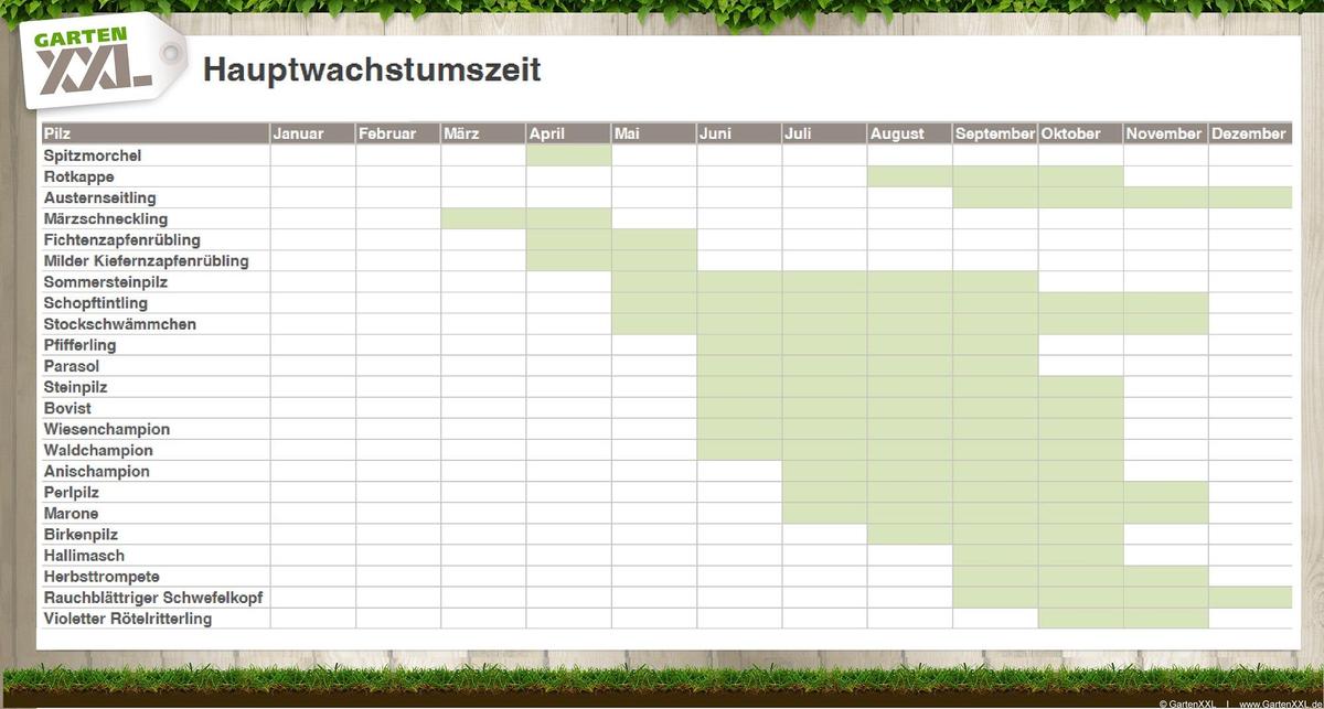 Pilzkalender