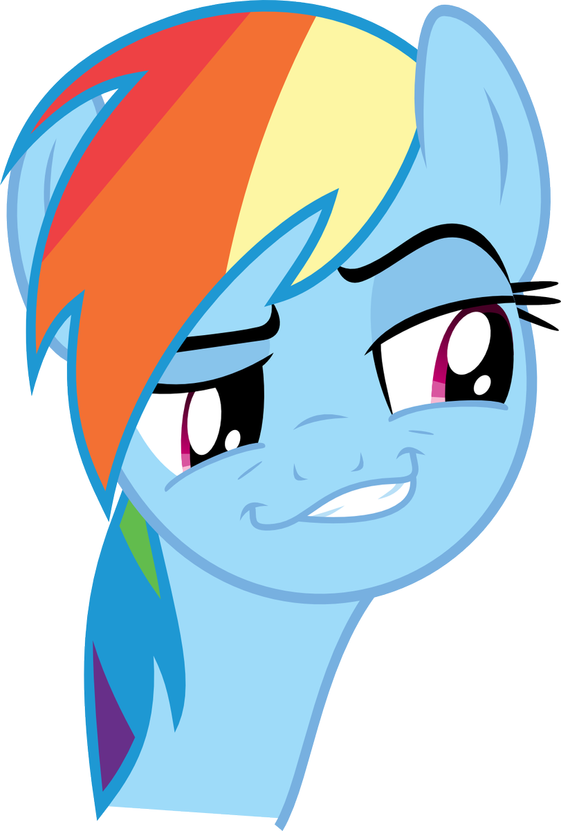 rainbow dash smirk by haratofu-d6x2k7x