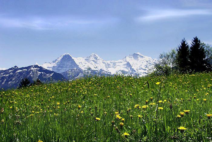 dorf waldegg wiese jungfrau PICT0023 700