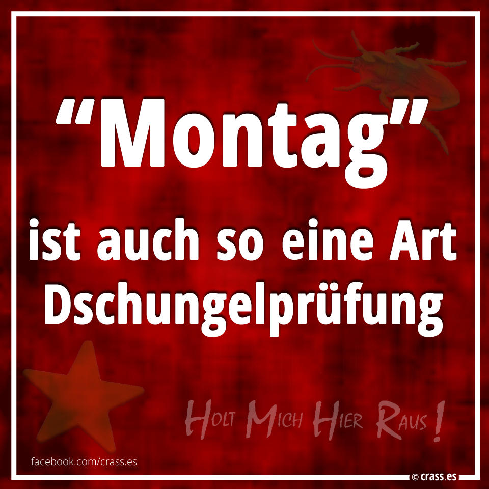 crass.es-montag-ist-auch-so-eine-art-dsc