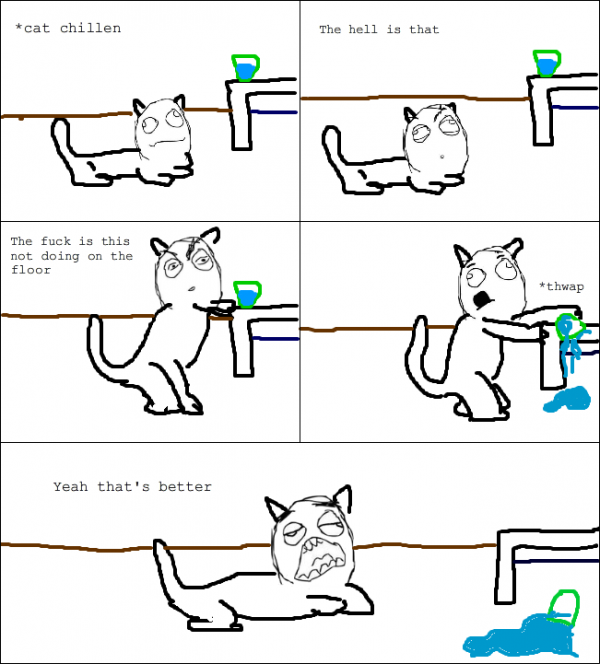 cat-logic-rage-comic-600x664