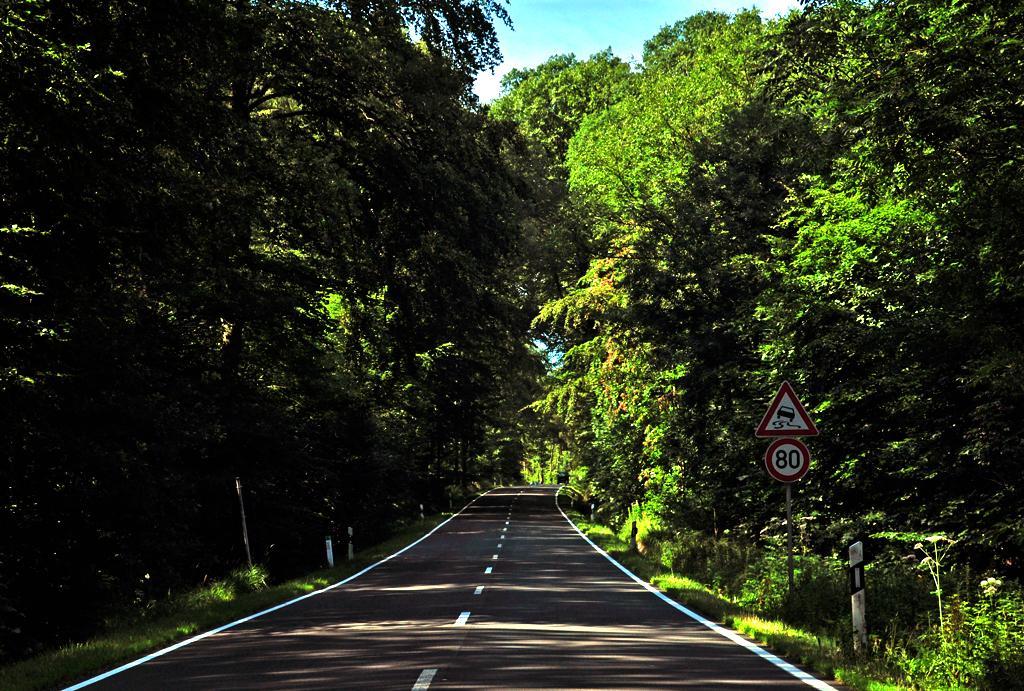 waldstrasse-eifel-zwischen-rheinbach-alt