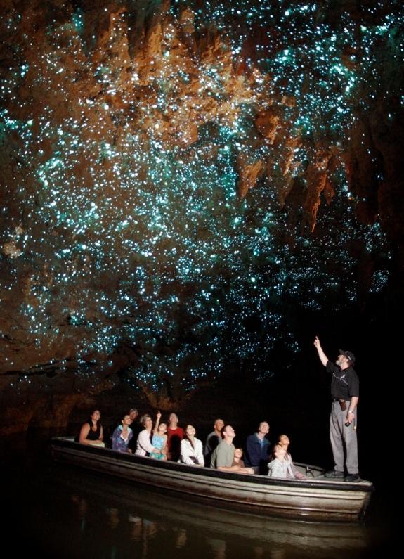 waitomo-glowworm-caves-nz-1