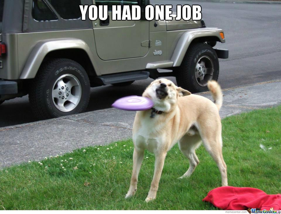 you-had-one-job-dog o 1668841