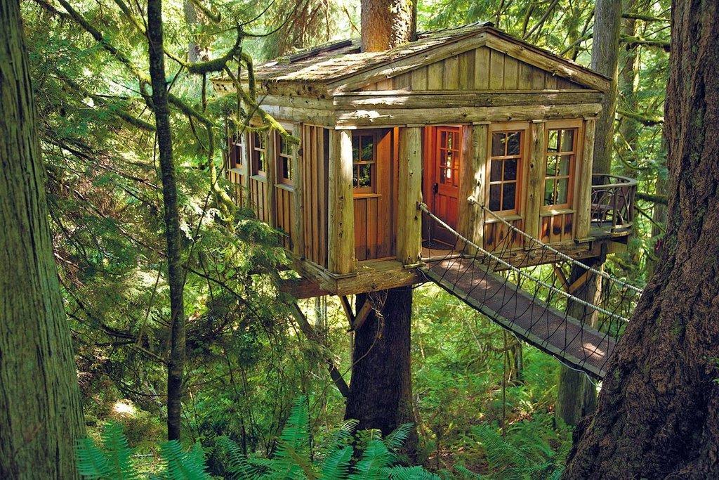 Spend-Night-Tree-House