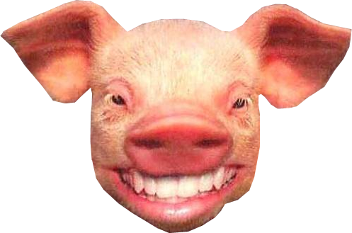 pig logo 497x329