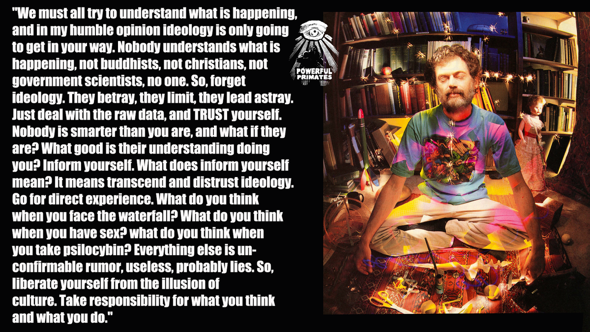 87a2e3 terence-mckenna-culture