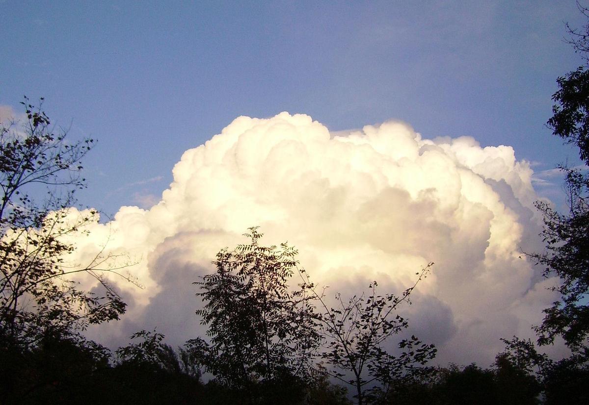 Cumulus-Wolken Abend