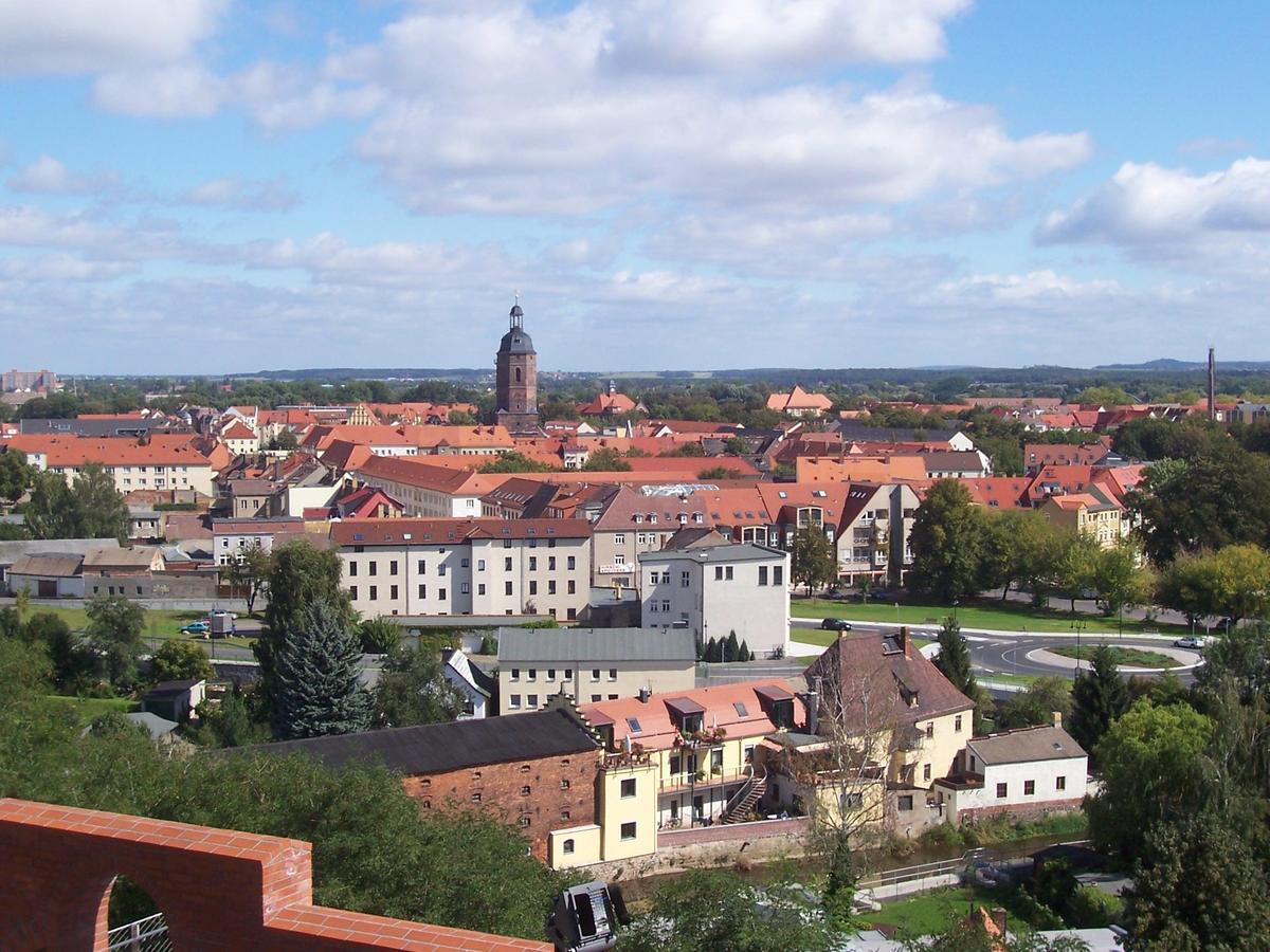 Eilenburg vom Burgberg