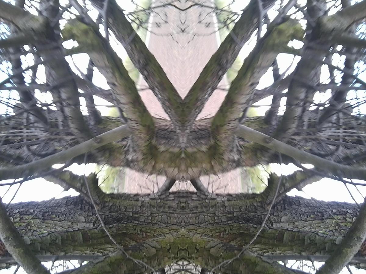 e666cf Foto0312WTPP
