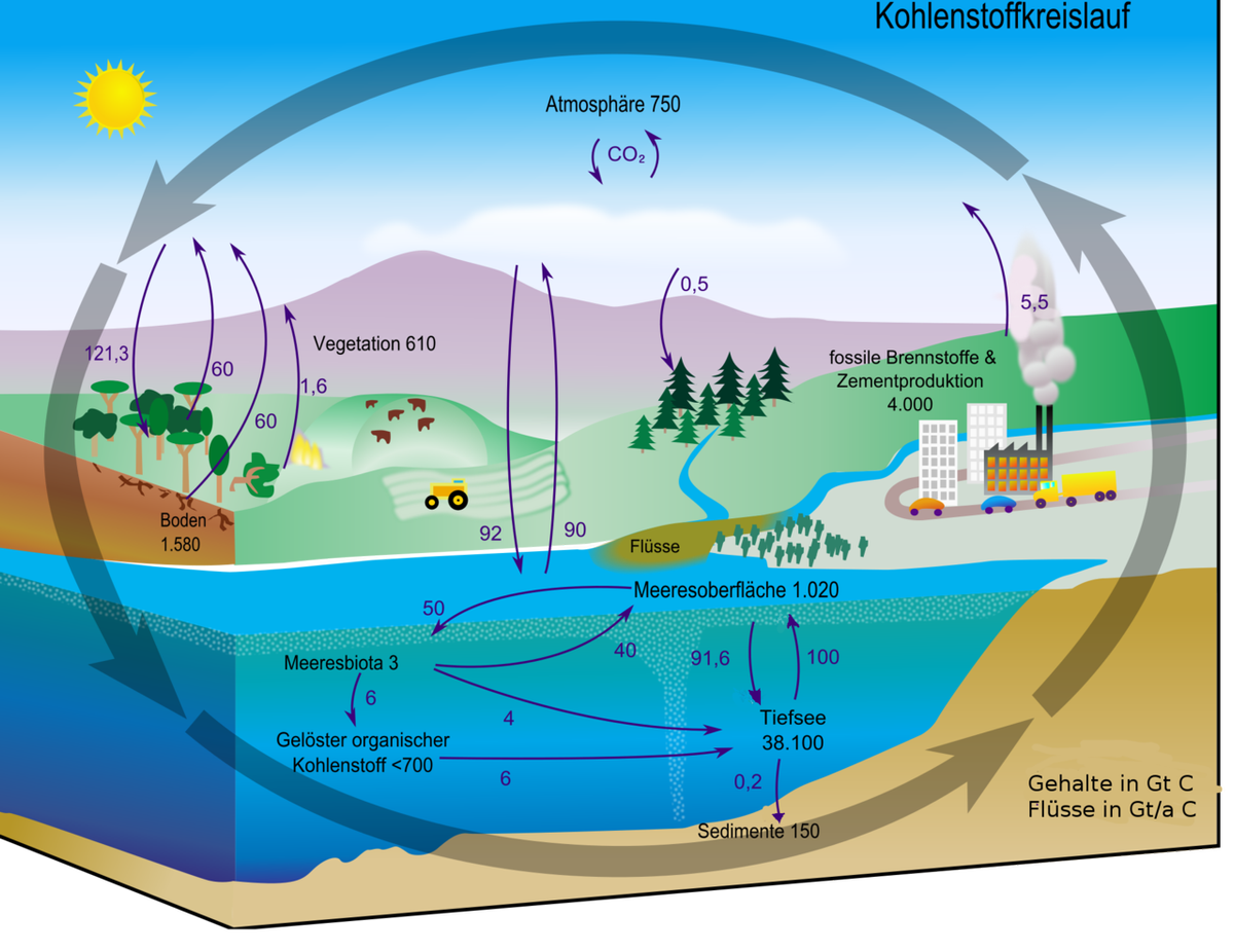 1280px-Carbon cycle-cute diagram-german