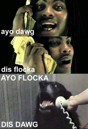 Ayo2Bdawg2Bdis2Bflocka2B 05fe111247e1ae0