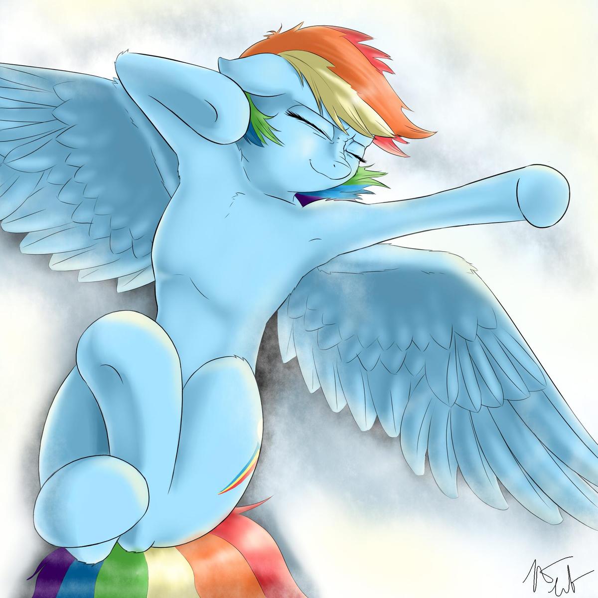 dashie stretch  300  watchers  by captai