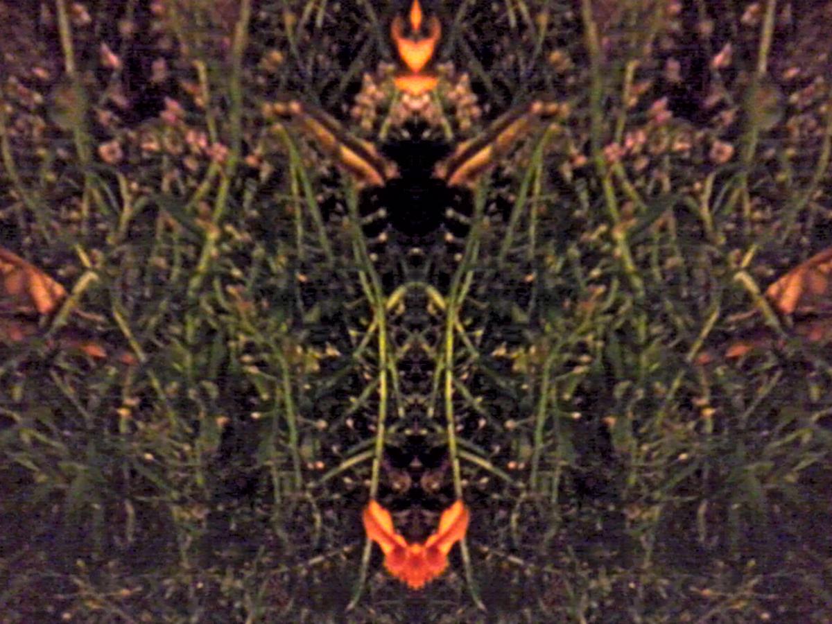 36b67f Foto0815JP